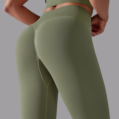 Seamless Gym Leggings